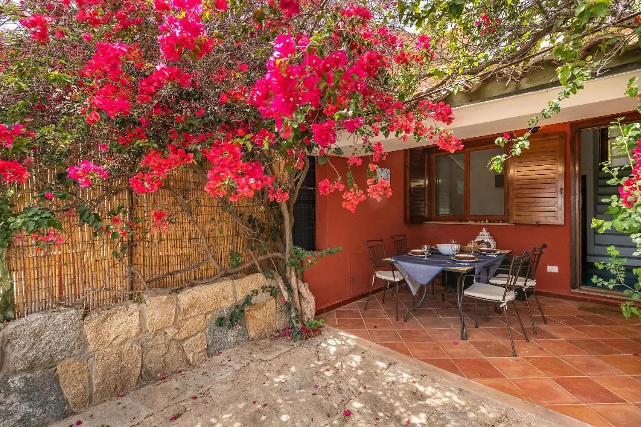 Bougainville Villasimius Italy
